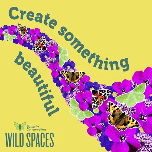 Butterfly Conservation_Thumbnail.jpg