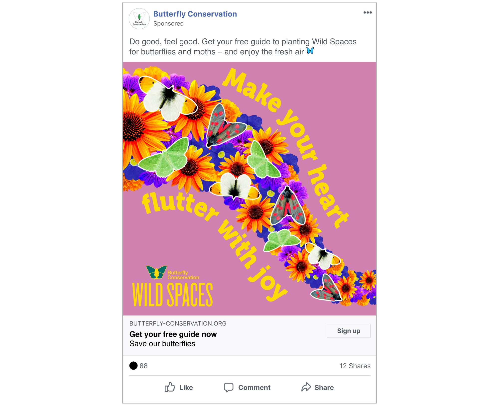 Butterfly Conservation_WildSpaces SocialAds_4.jpg