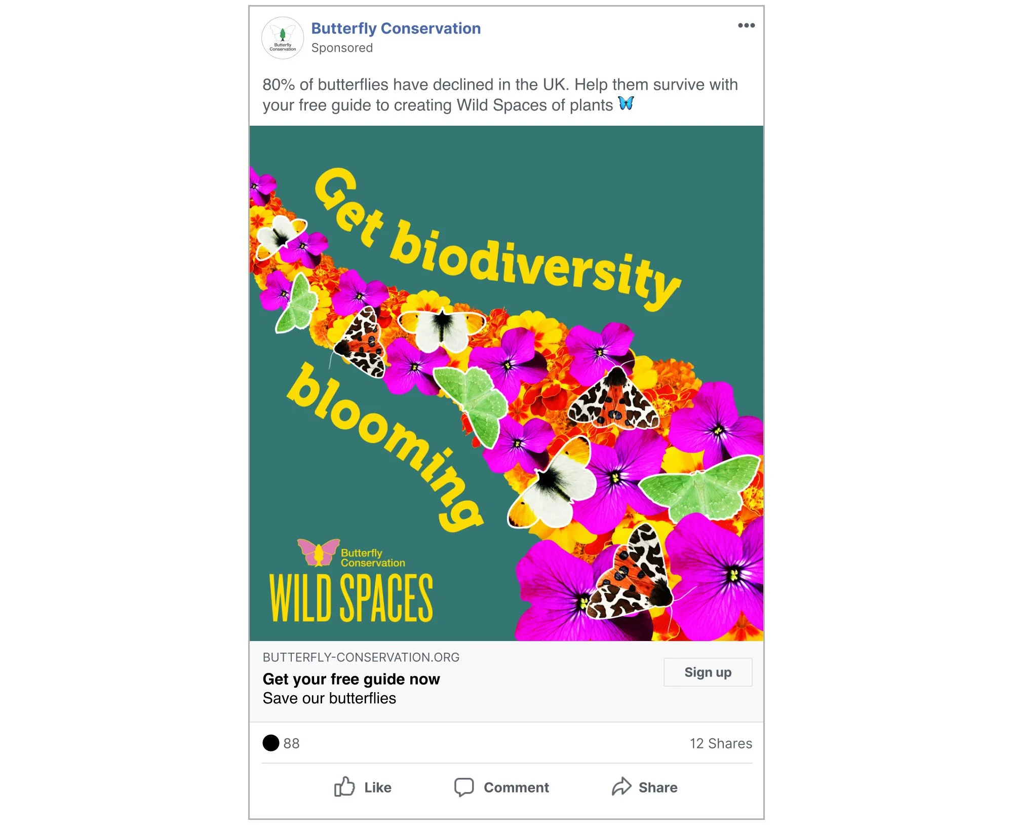 Butterfly Conservation_WildSpaces SocialAds_5.jpg