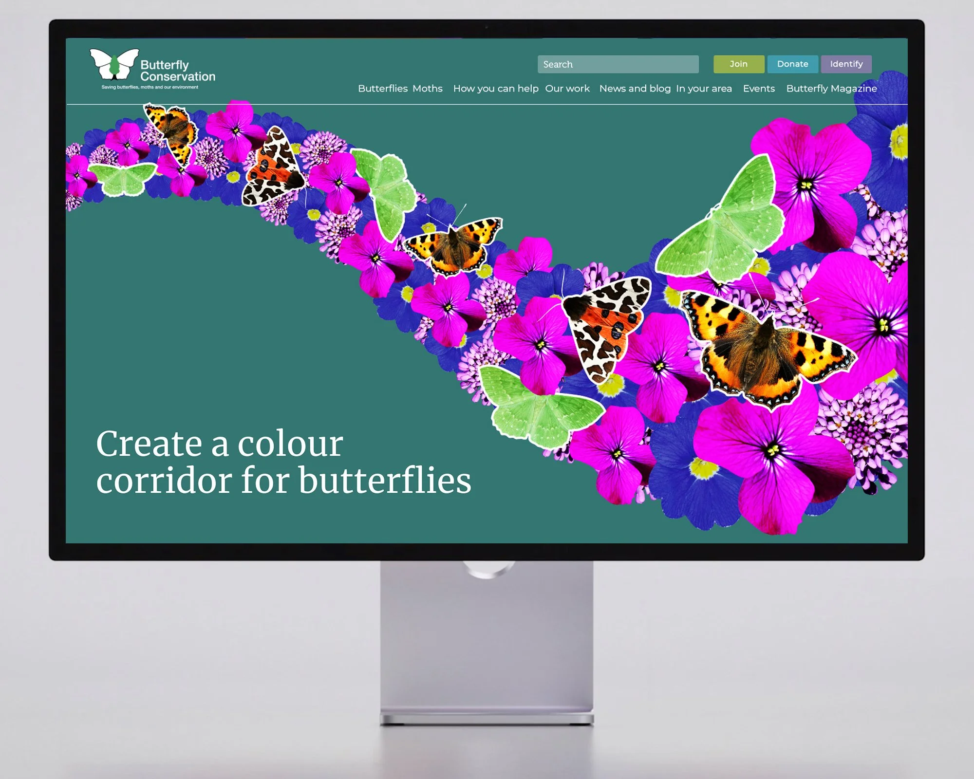 Butterfly Conservation_WildSpaces LandingPage_Mockup.jpg