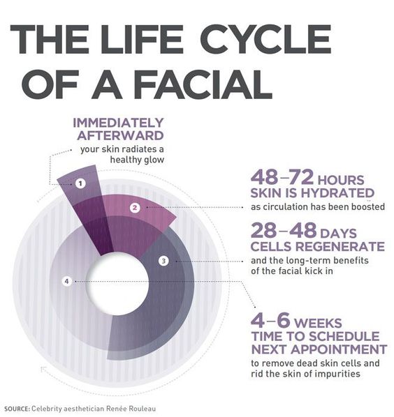 Life cycle of a facial.jpg