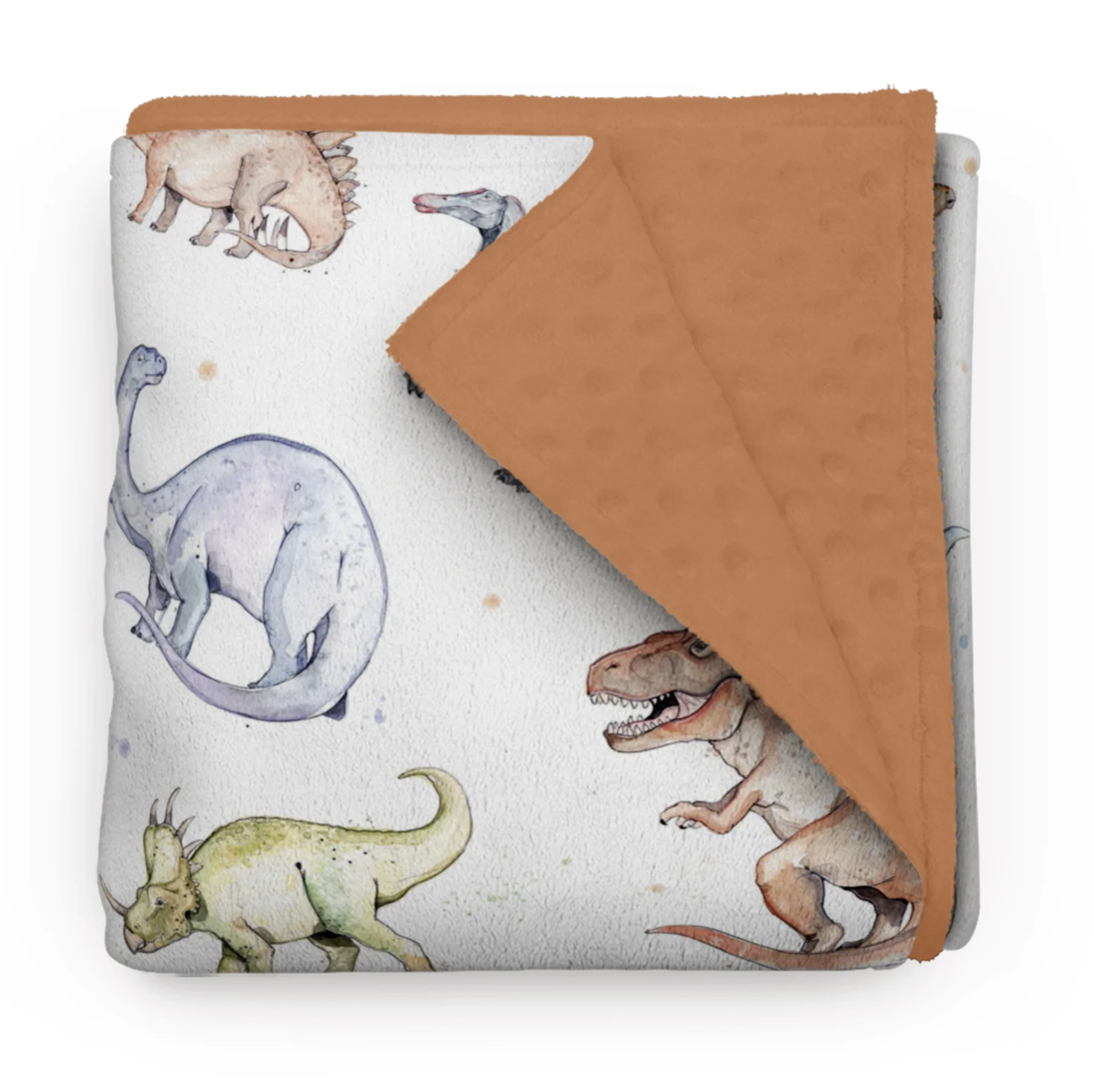 minky dinosaures.jpg