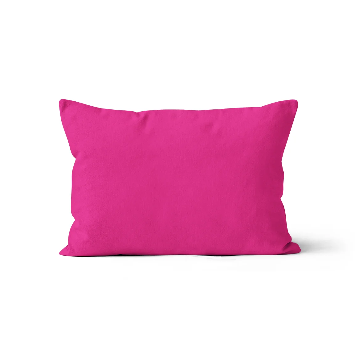 20x30 verso rose monstres.jpg