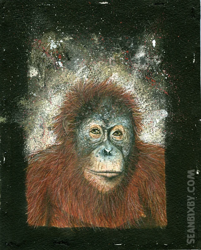 ART_Ape_B.jpg
