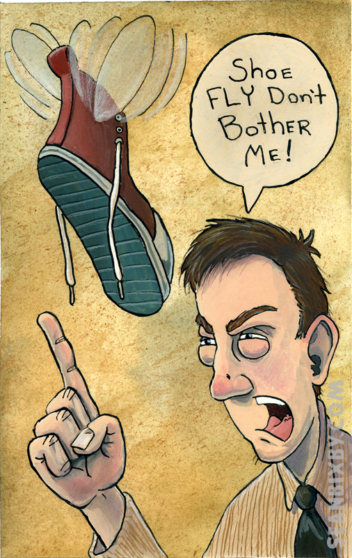 2D_ShoeFly.jpg