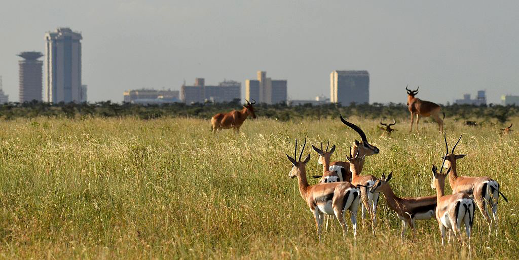 Nairobi, 2015