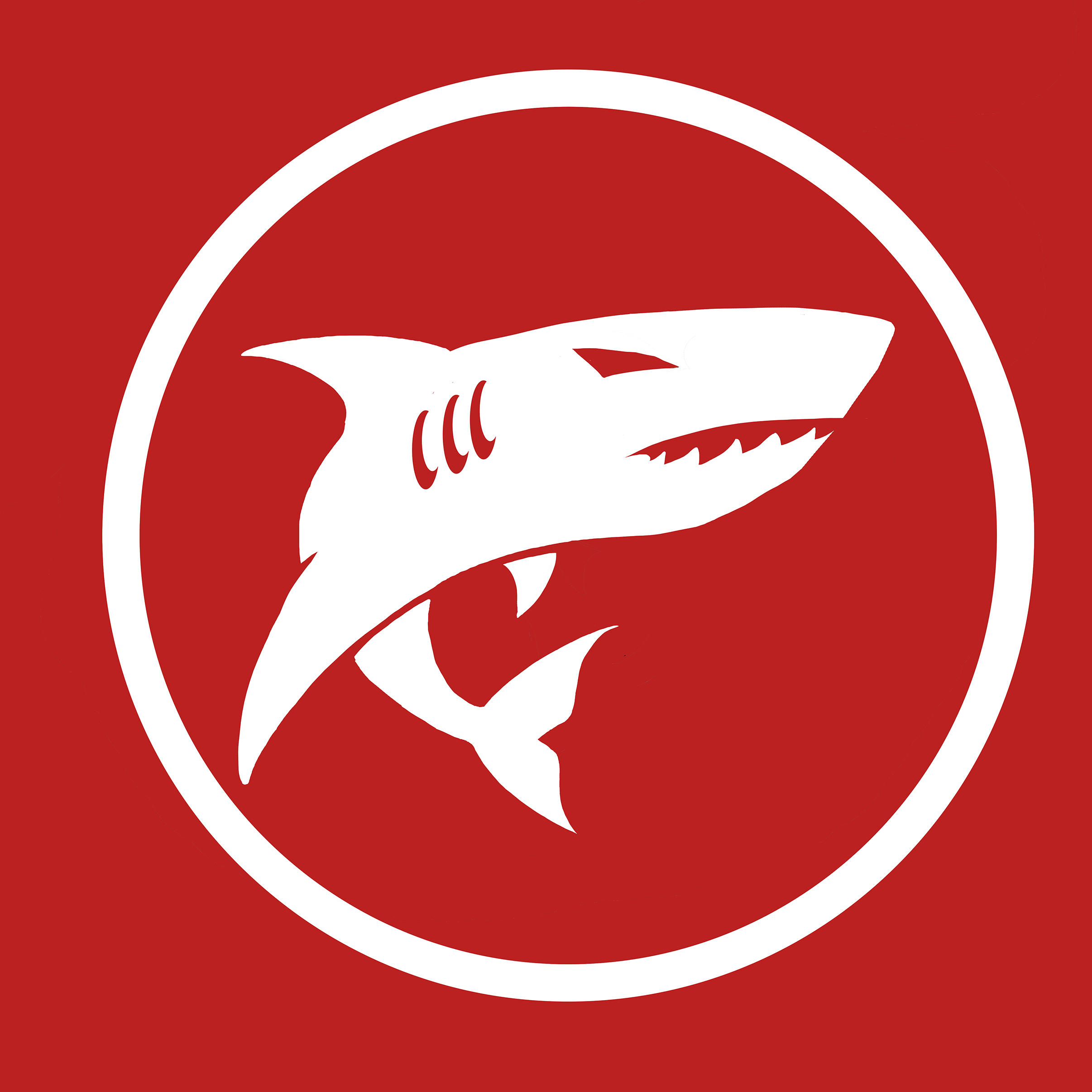 Shark-right.jpg