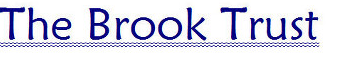 Brook Trust Logo.PNG