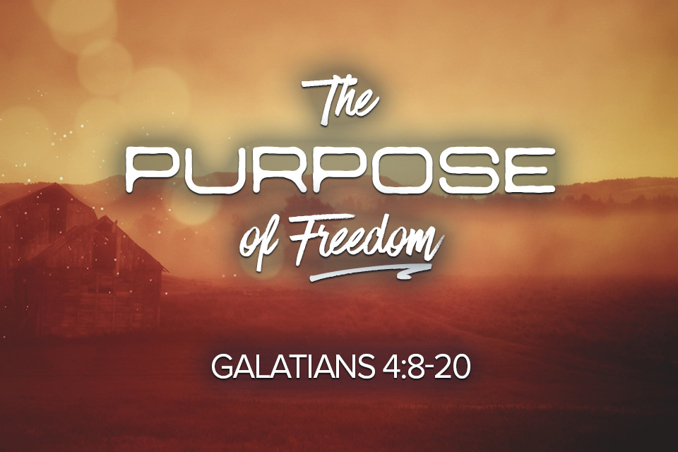 The Purpose of Freedom