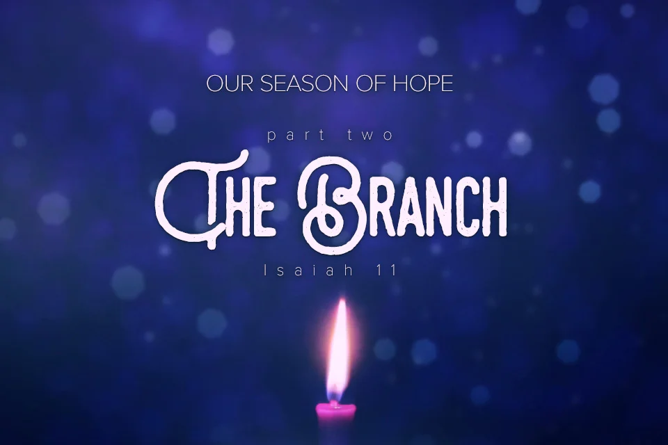 The Branch