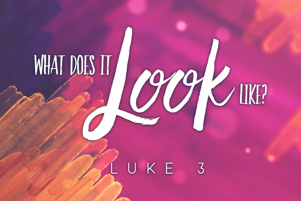 What Does It Look Like?