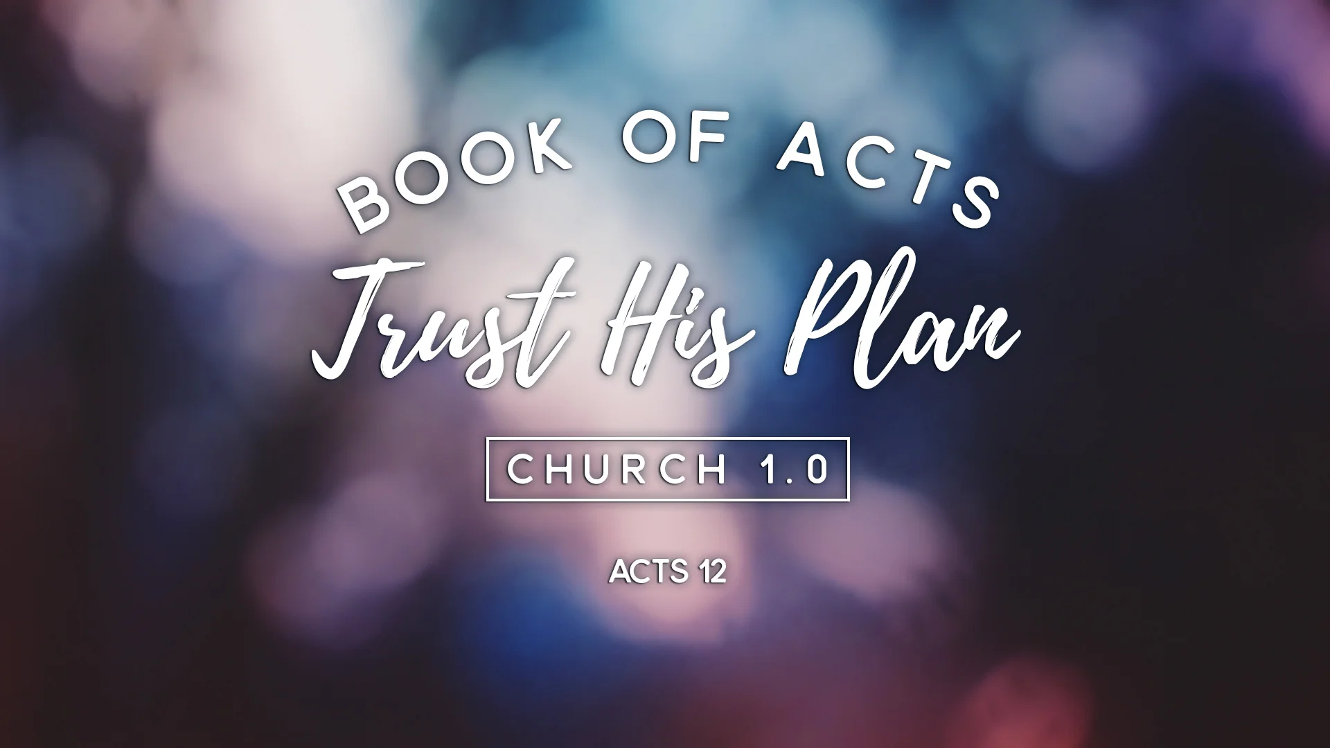 Trust His Plan