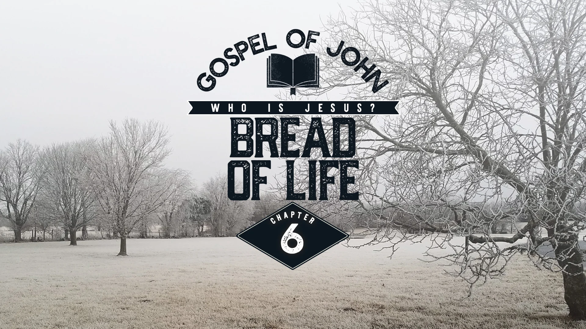 Bread of Life