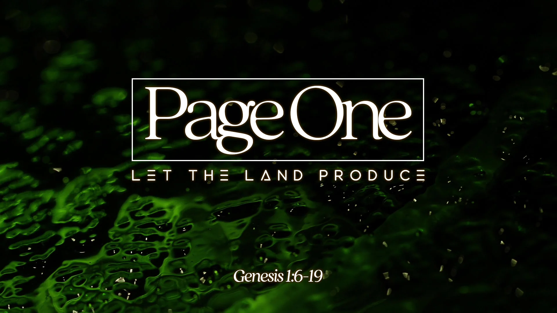 Let The Land Produce