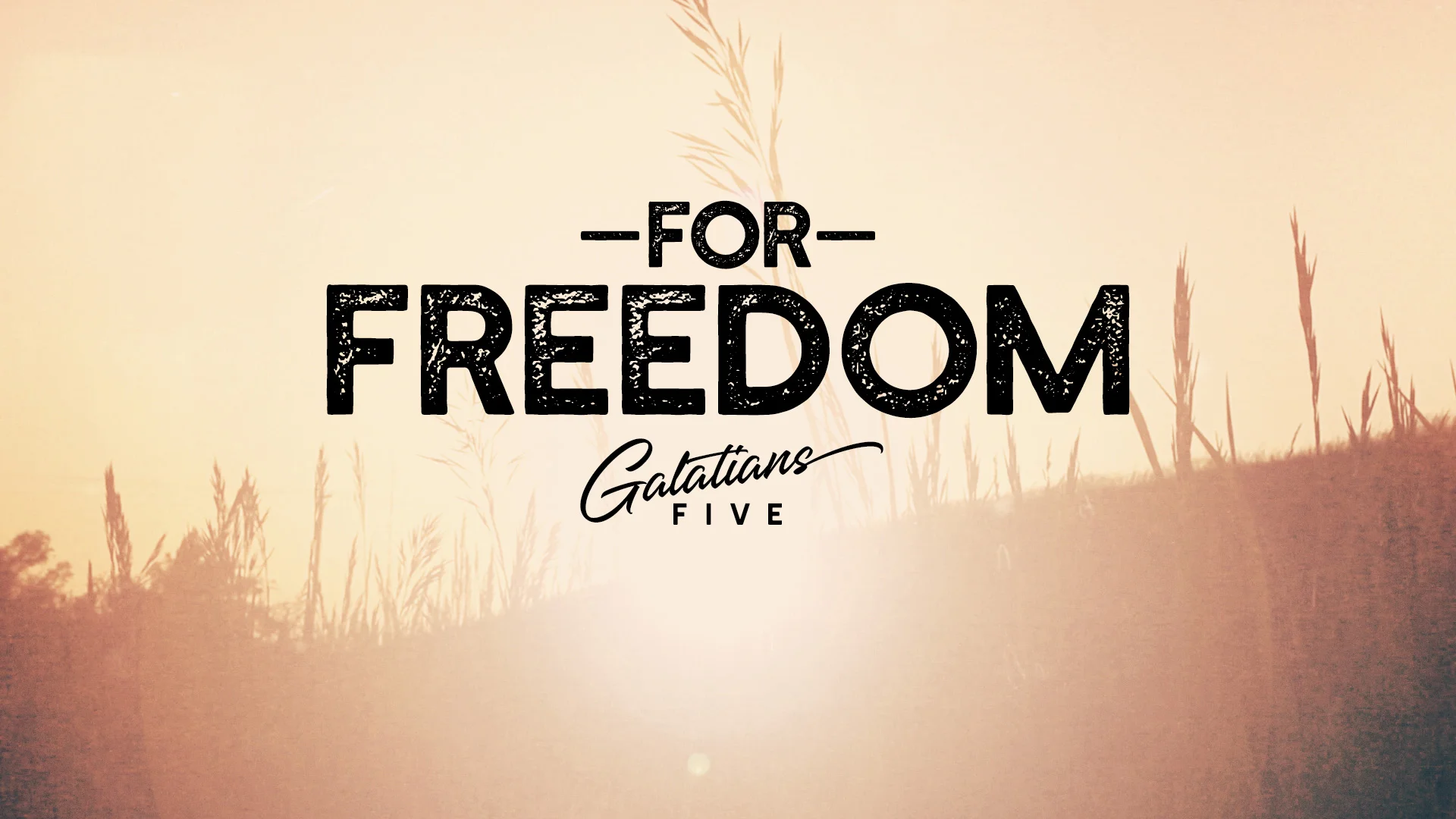 For Freedom