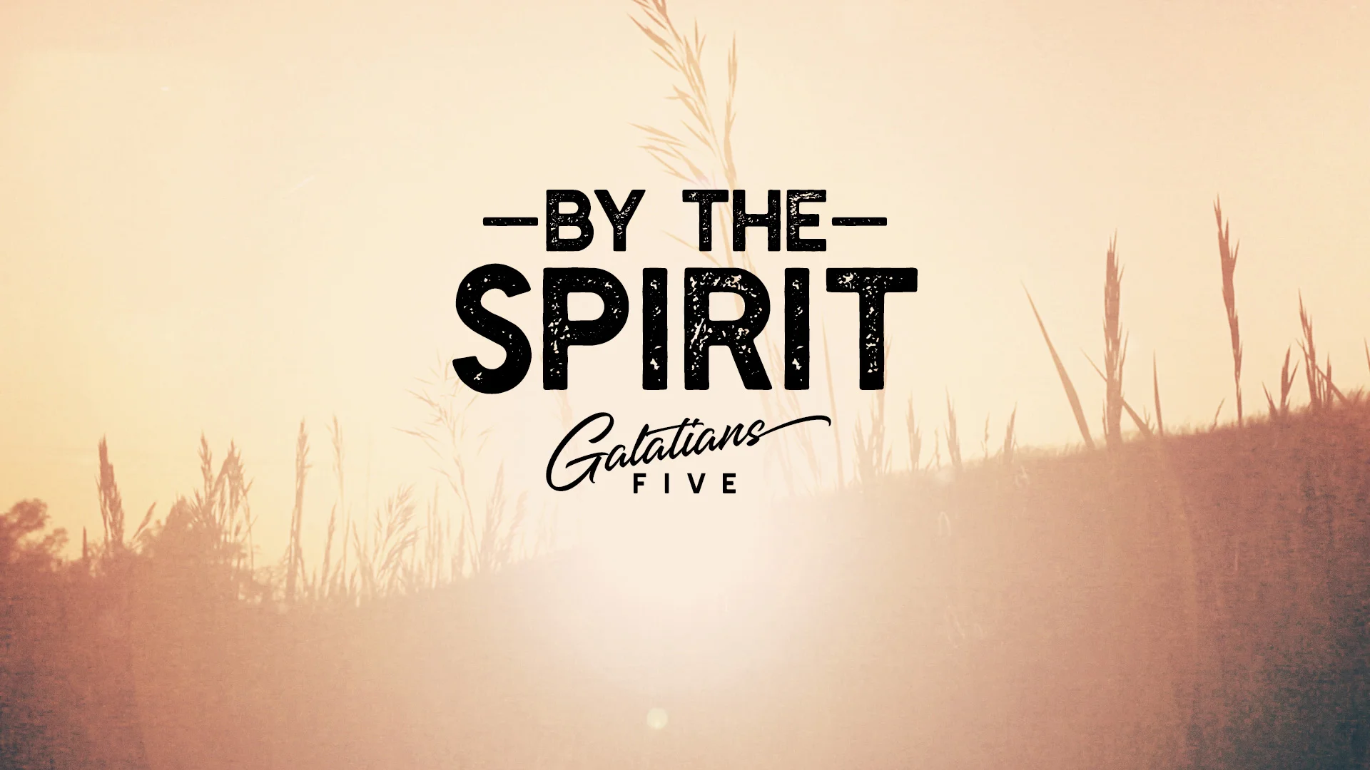 By The Spirit