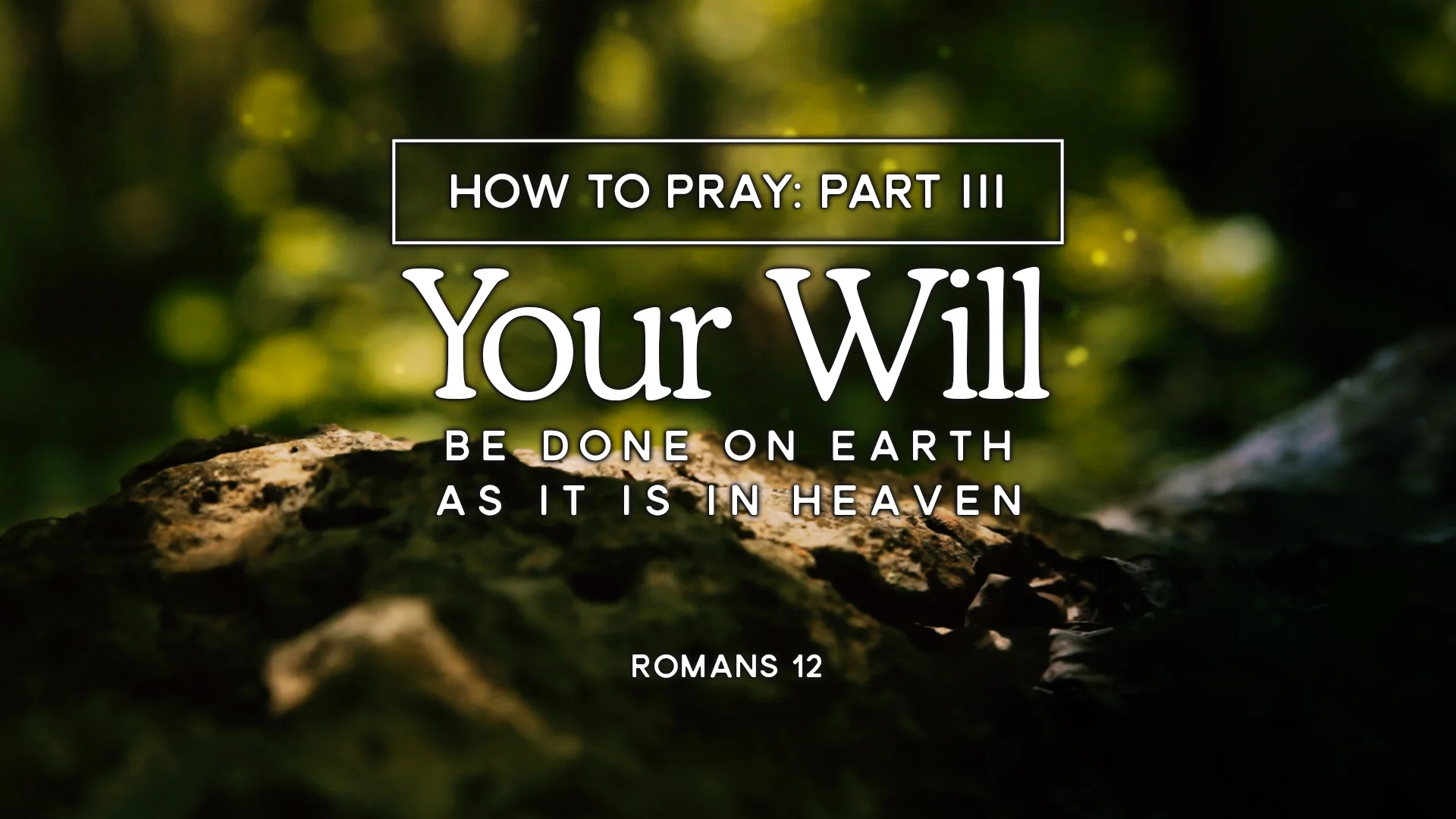 Your Will