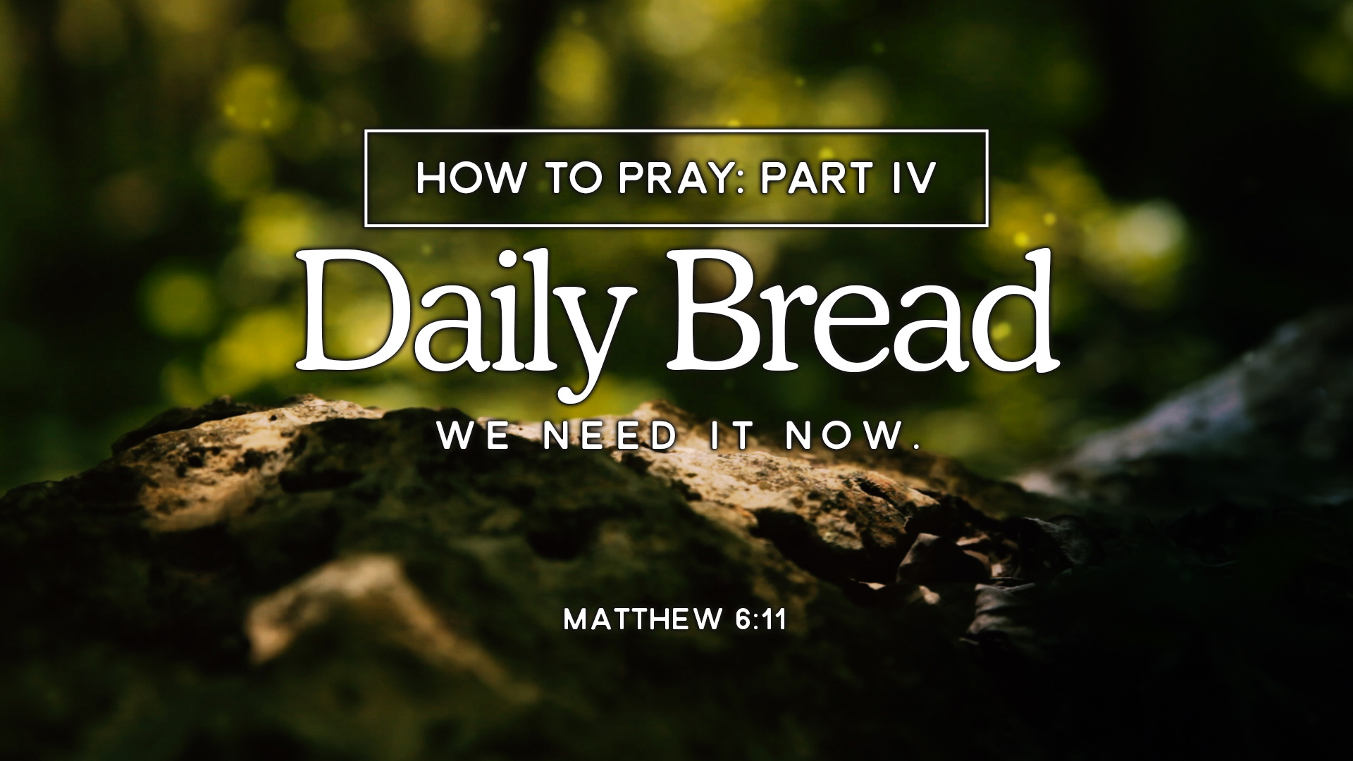 Daily Bread