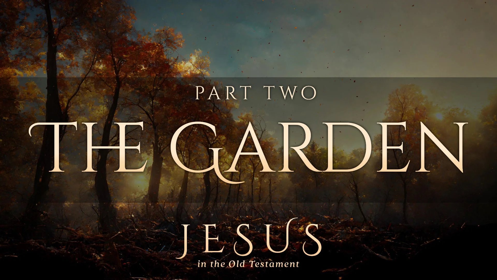 The Garden