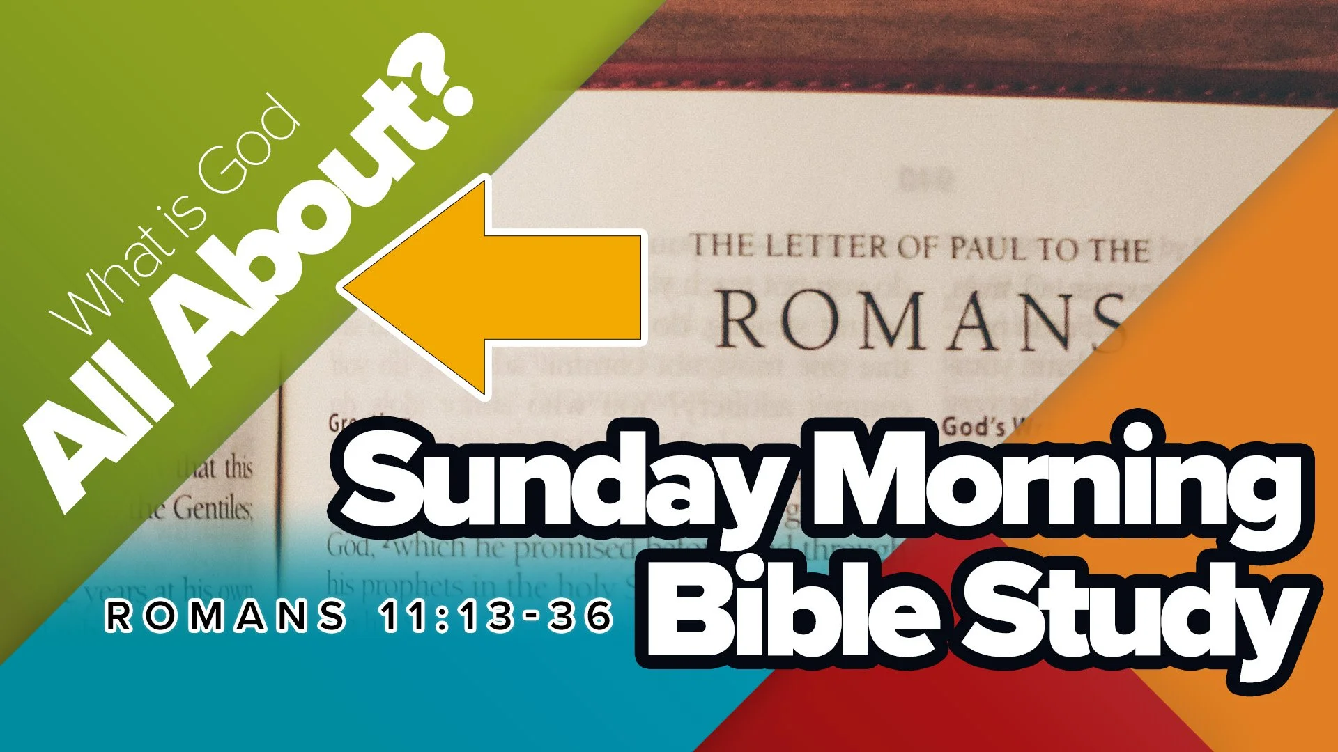 Romans Bible Study 11:13-36