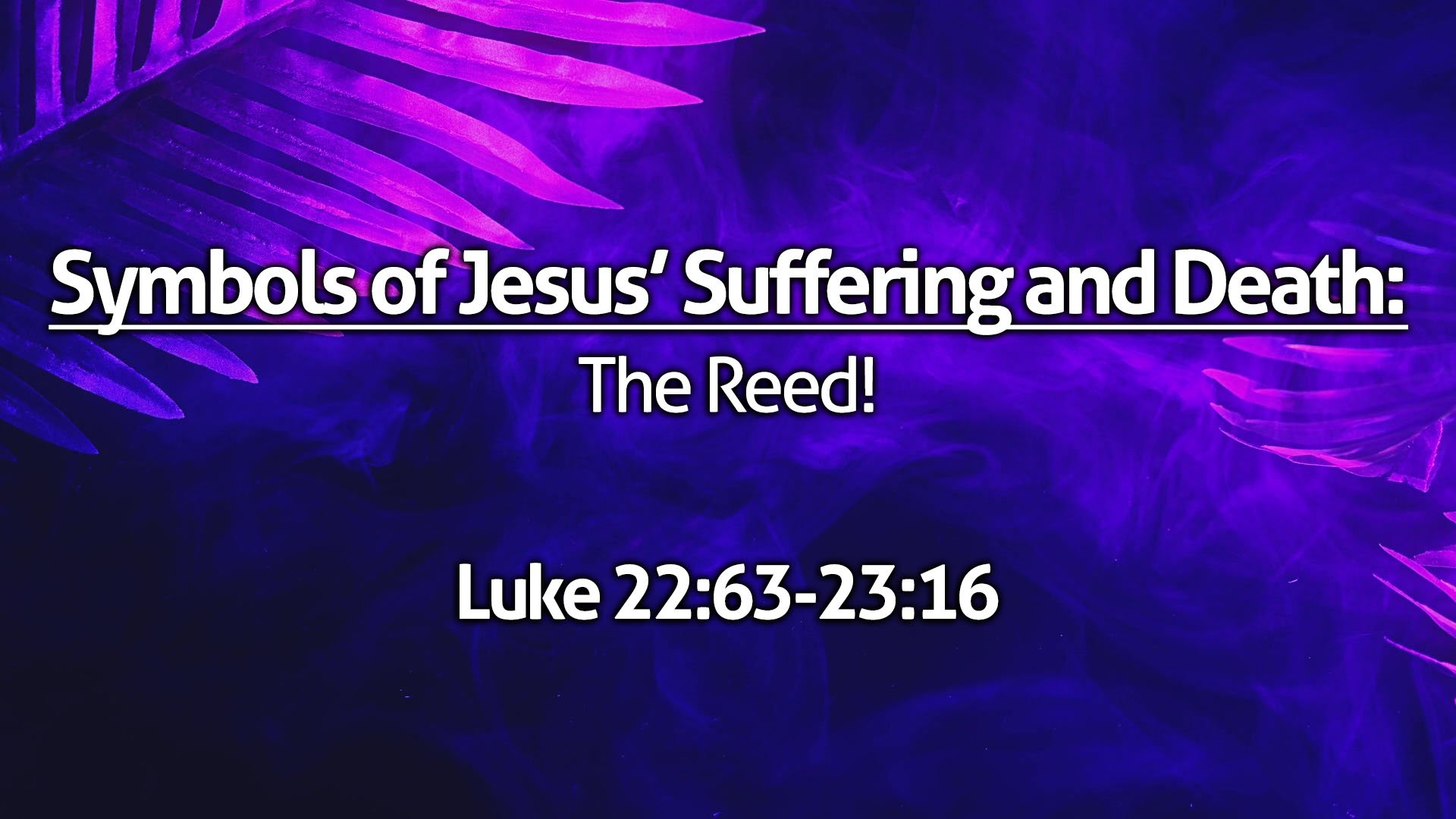 "Symbols of Jesus' Suffering and Death - The Reed!"
