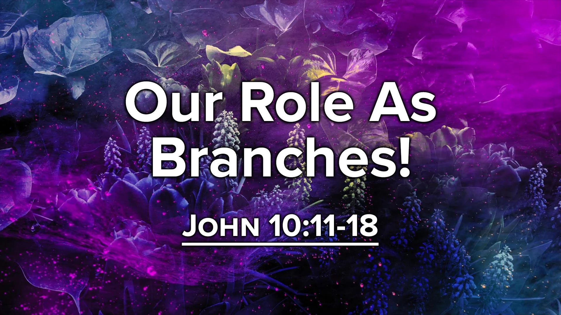 "Our Role As Branches!"