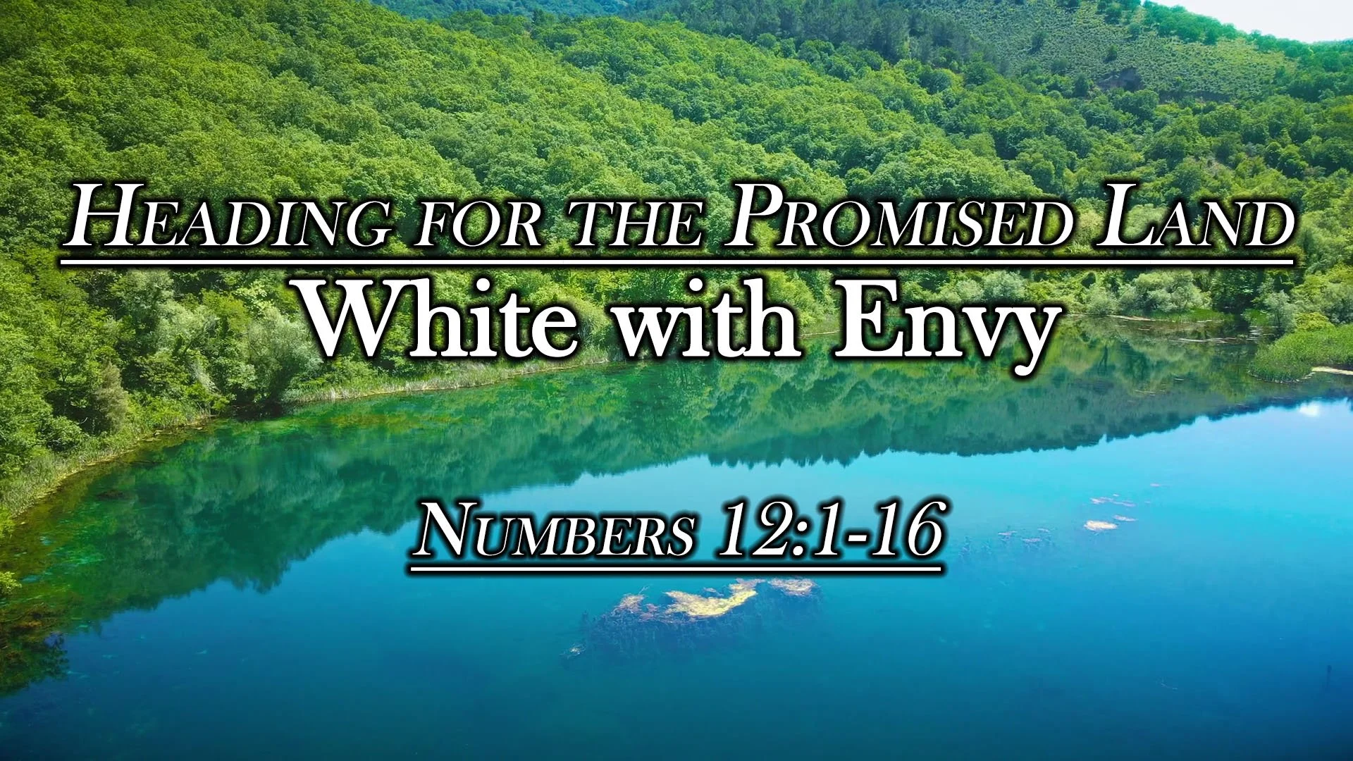 Heading for the Promised Land: White with Envy