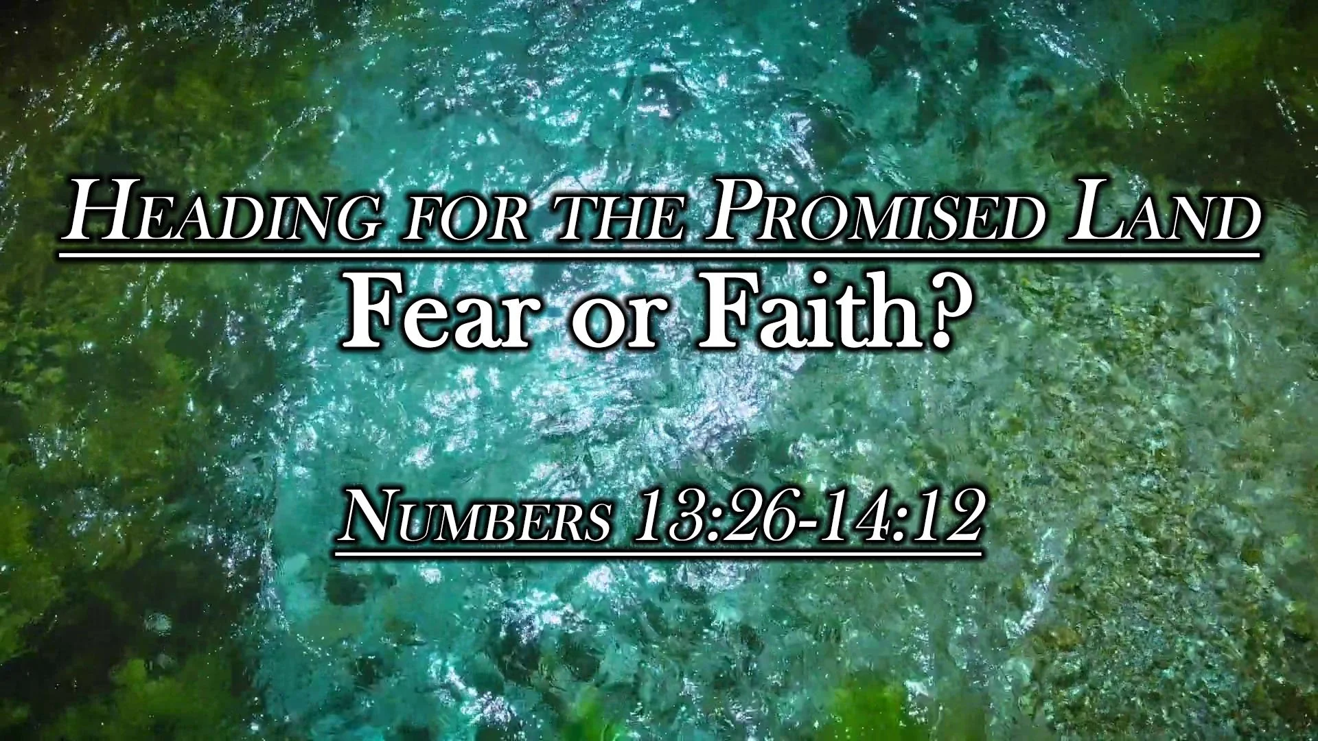 Heading for the Promised Land: Fear or Faith?