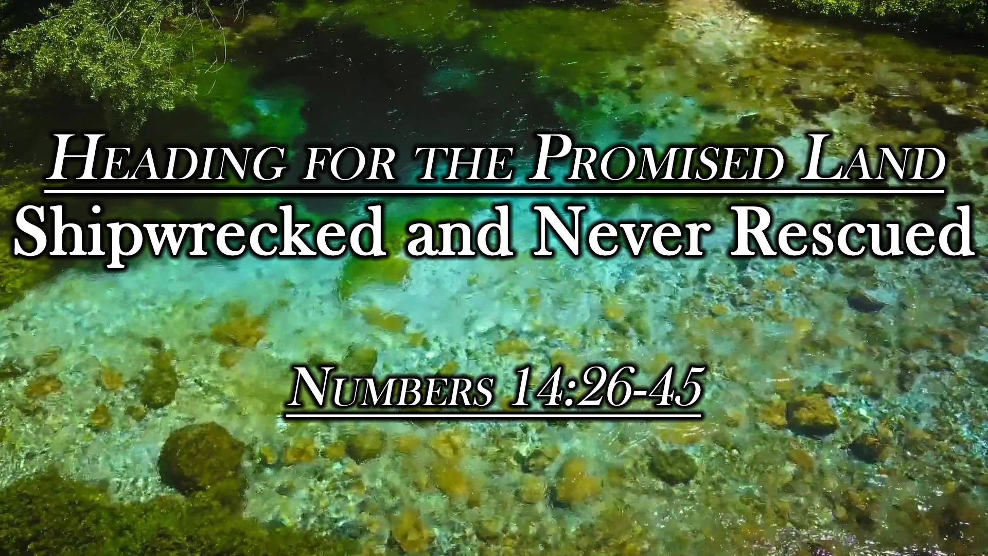 Heading for the Promised Land: Shipwrecked and Never Rescued