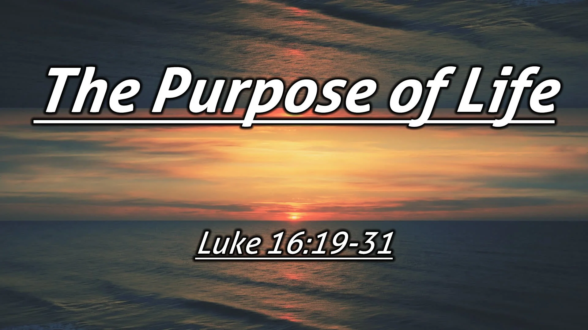The Purpose of Life