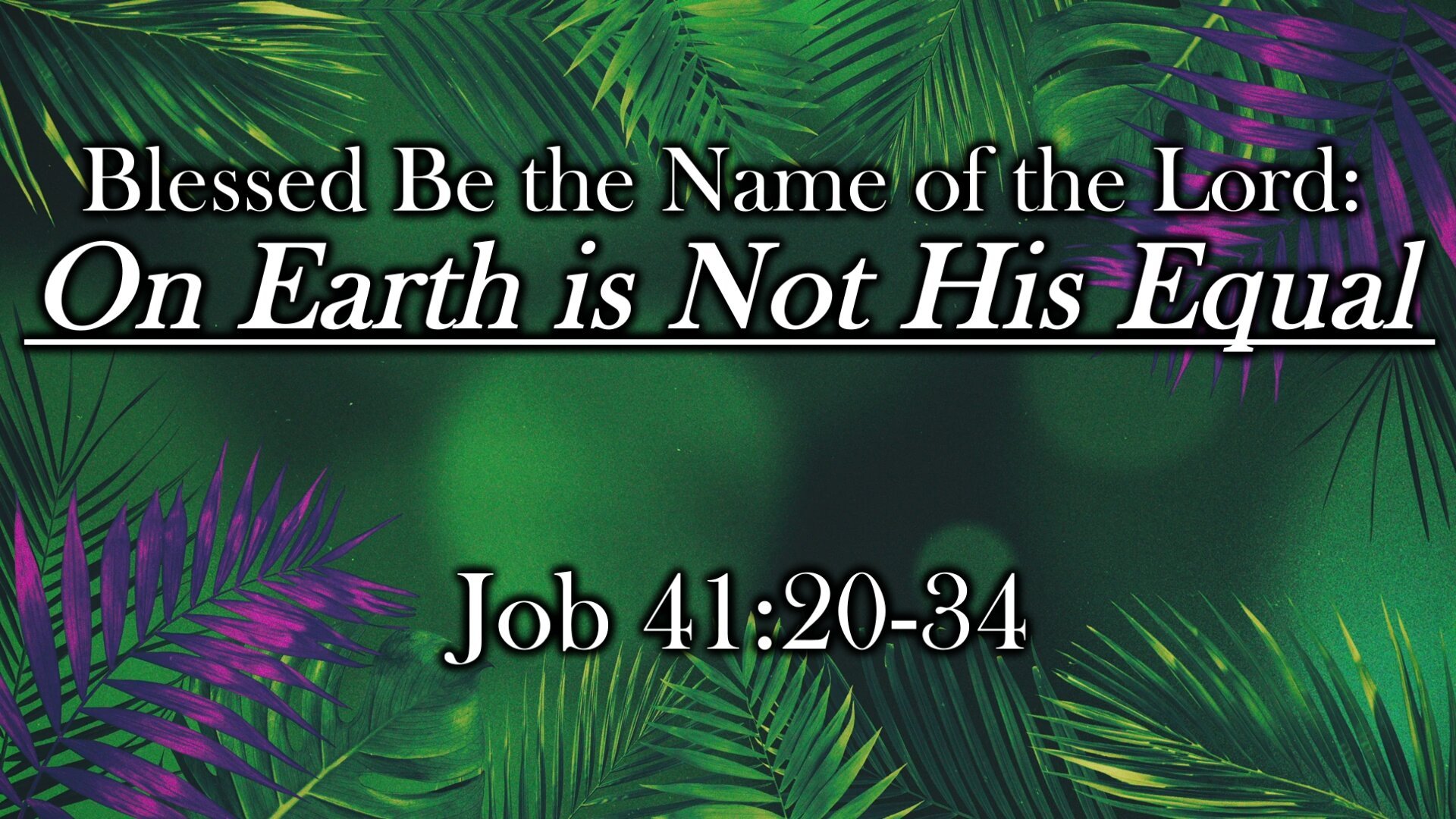 Blessed Be the Name of the Lord: On Earth is Not His Equal