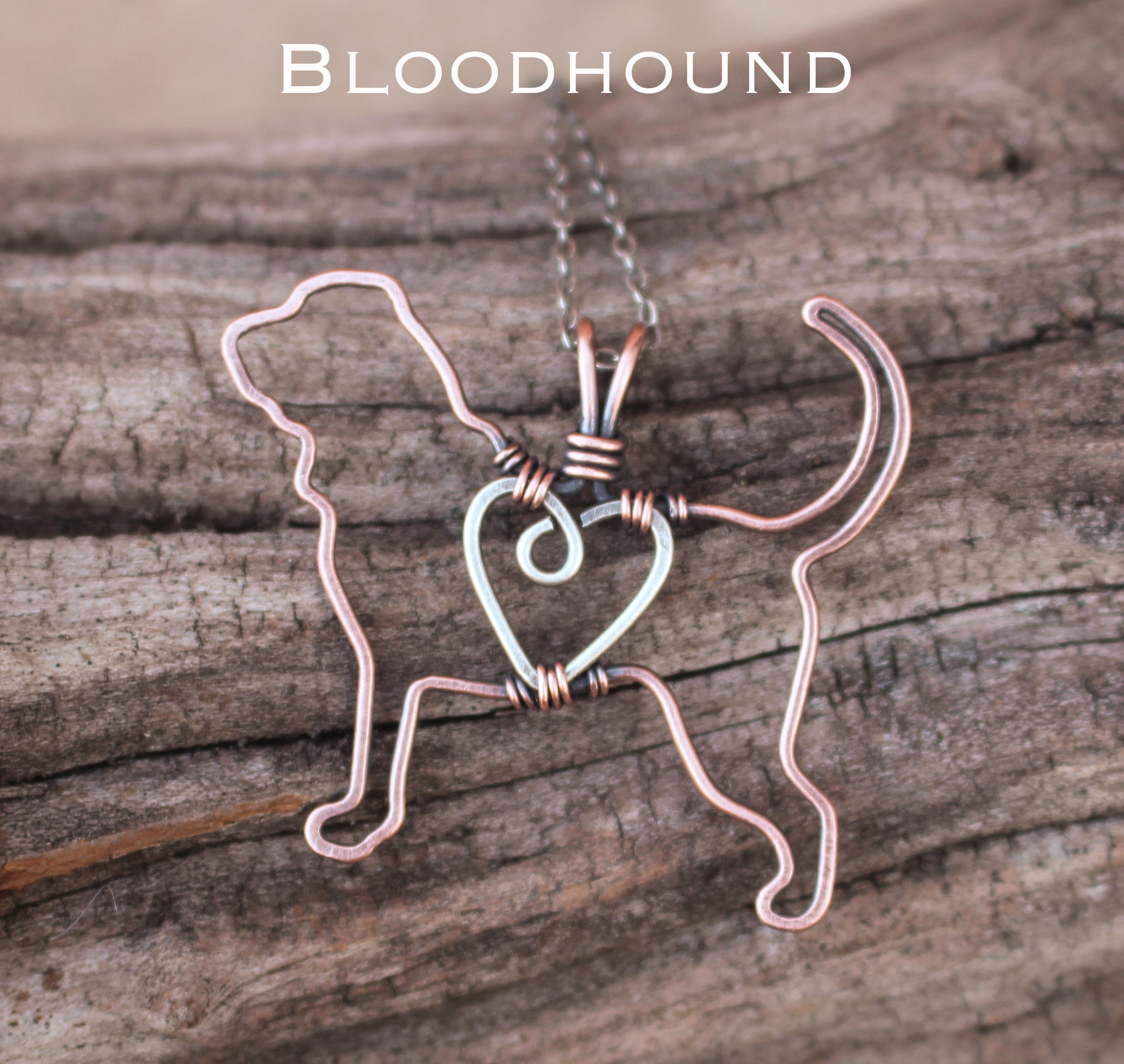 bloodhound1.jpg