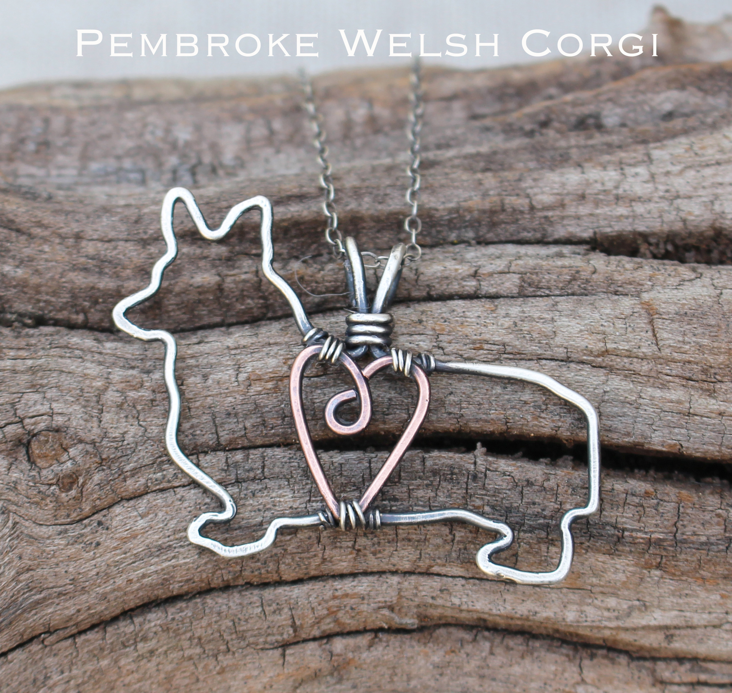 Pembroke Welsh Corgi2.jpg