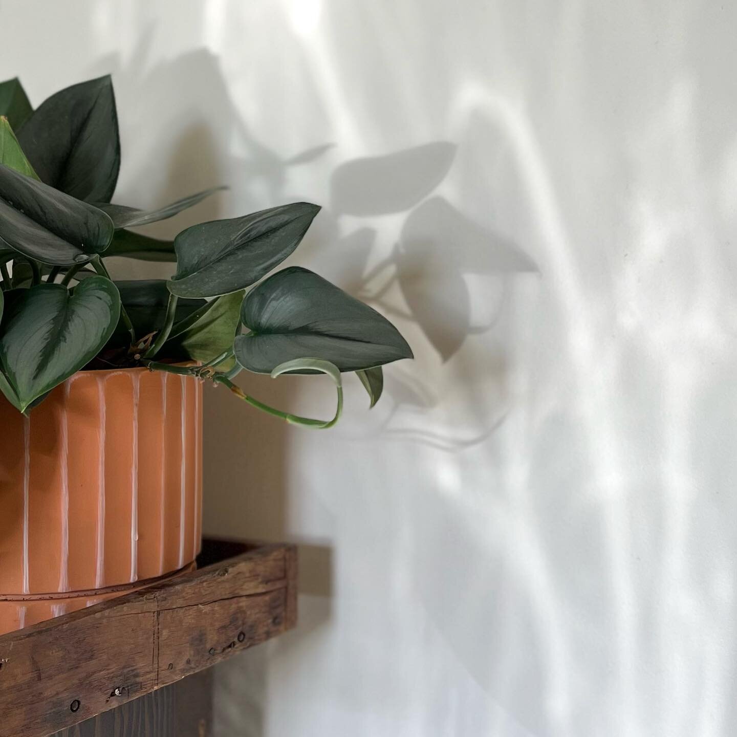 This pretty scene in my studio brought me so much joy yesterday so I had to snap a photo to share! I had just unpacked a @rio order so I think the light was reflecting off of my brand new sheet of shiny brass onto the wall.