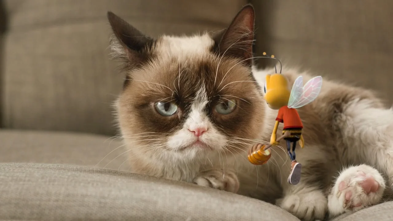 Honey Nut Cheerios "Grumpy Cat"