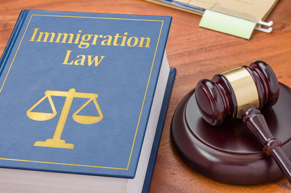 Immigration Lawyer In Canada