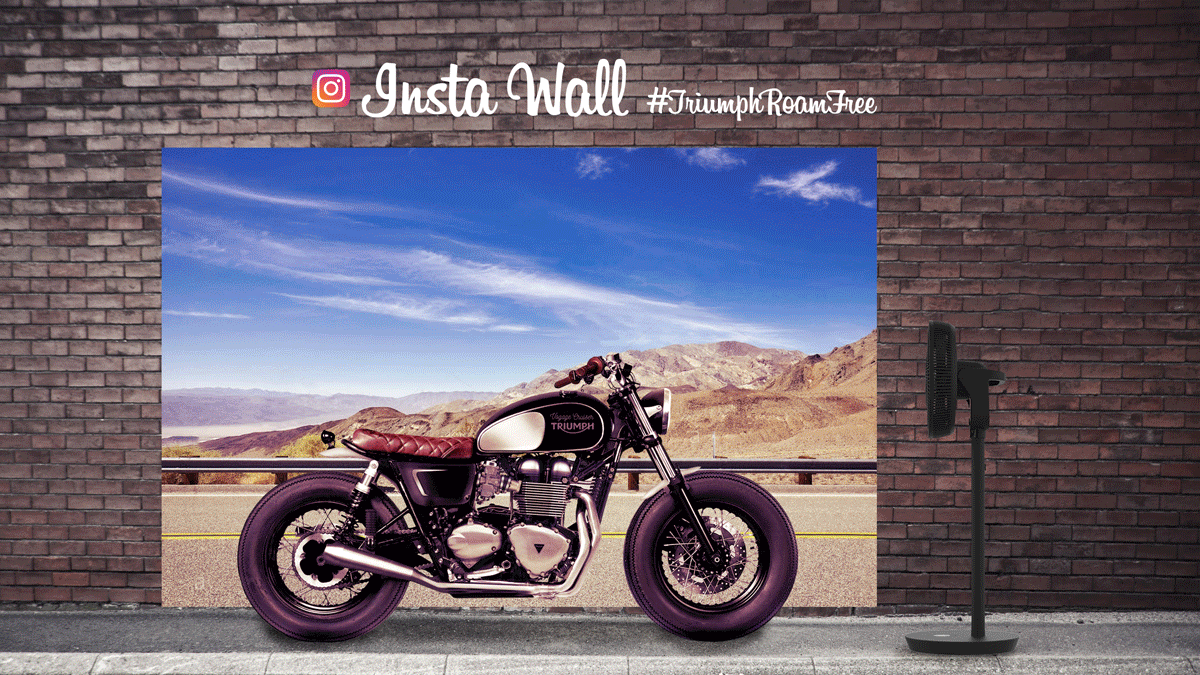 Bikewall.gif