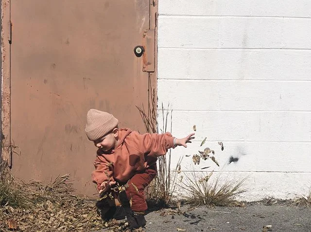 🍁🍂 fall has arrived. and crunchy leaves are not only pretty but also fun