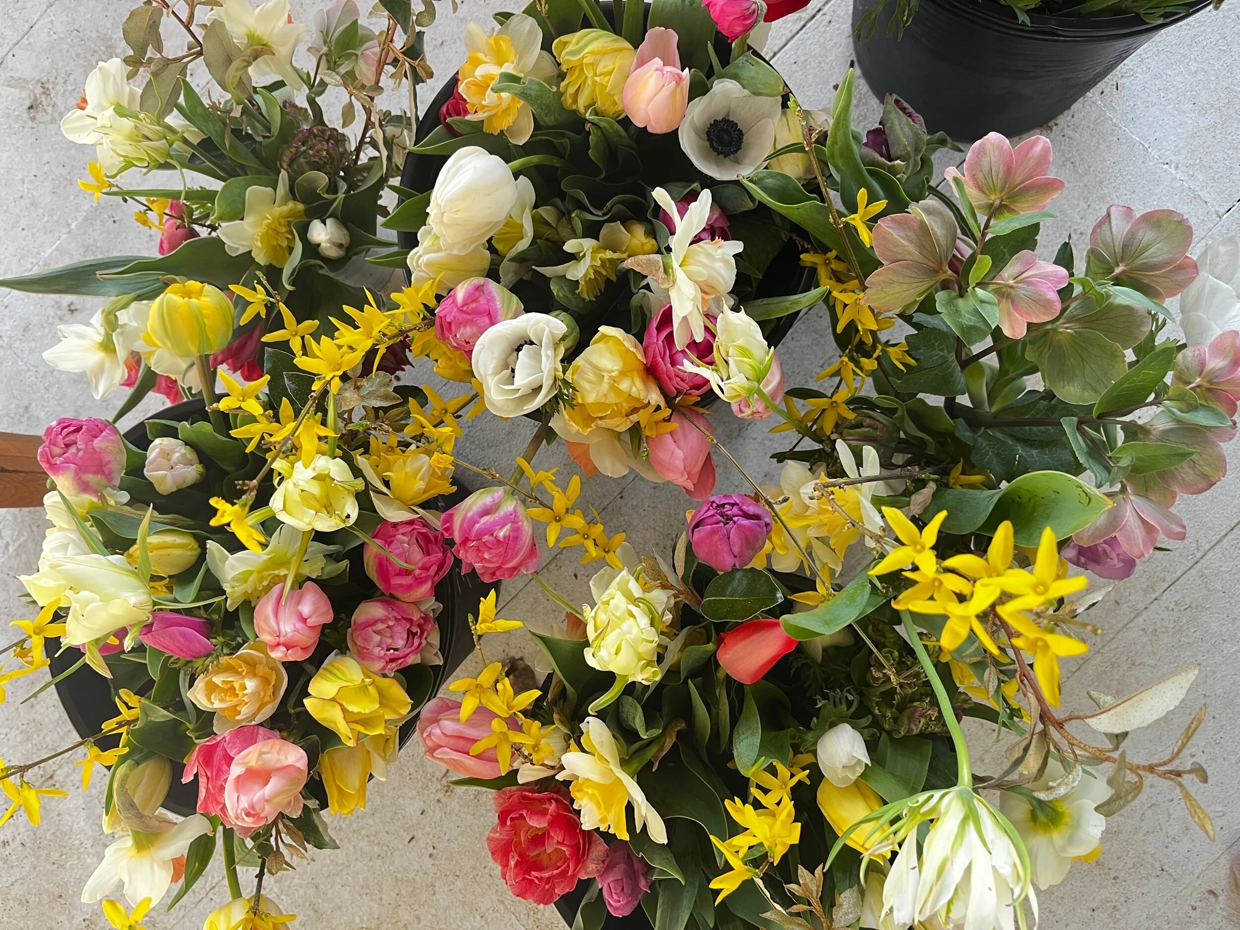 8A1EAC96-7FAD-4AEC-B93F-131AE3166DF4