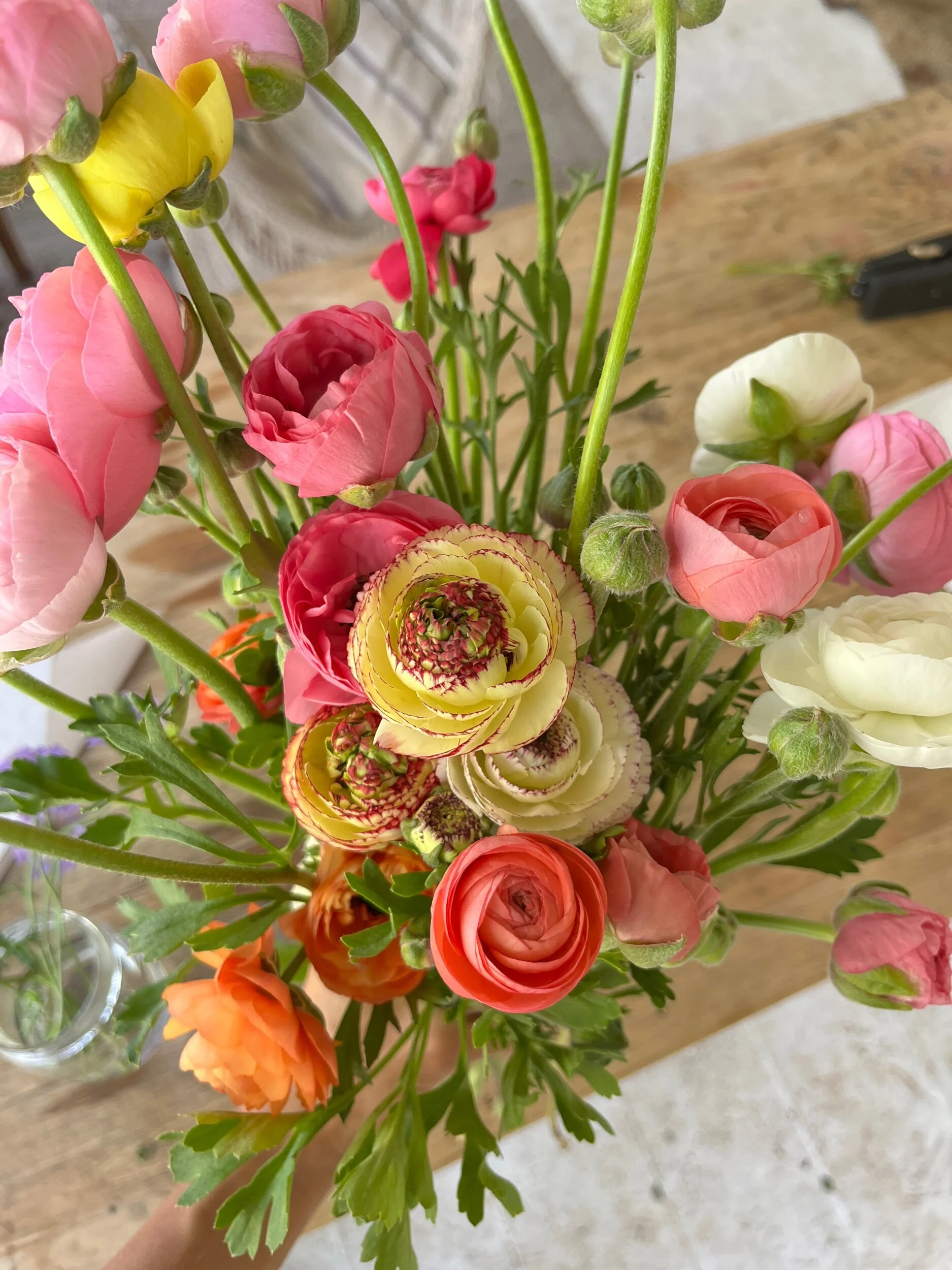 FD2ED43D-E2B0-42F1-8567-10F17C292846