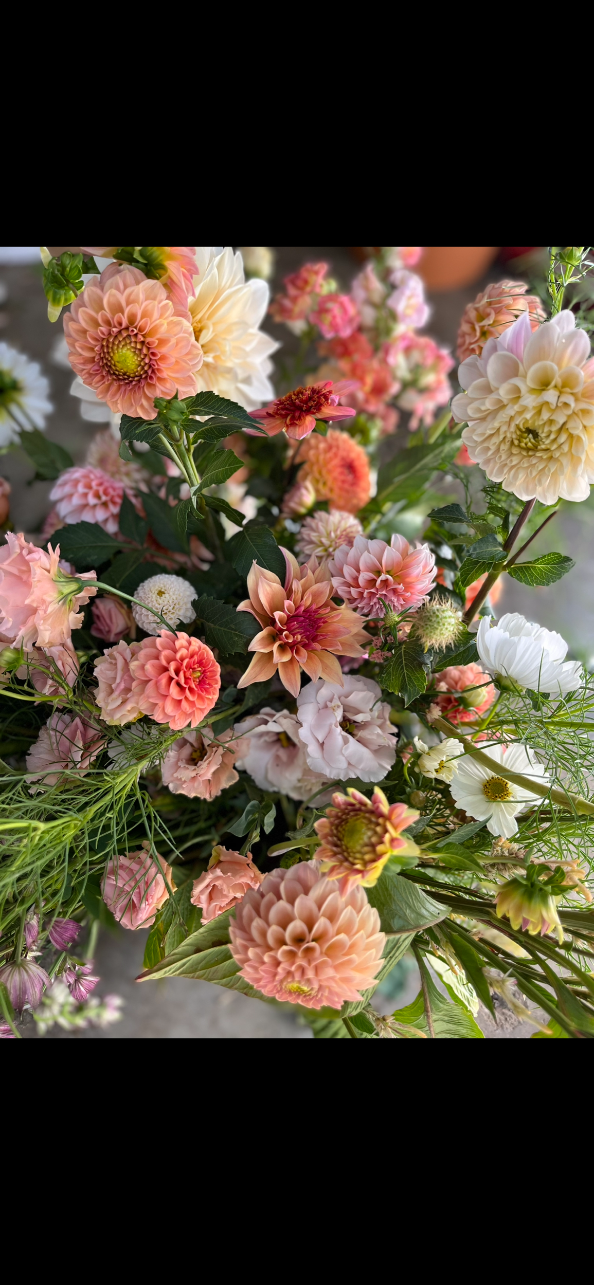 47AF2C51-C3E1-4E09-83CB-34371B5A41F0