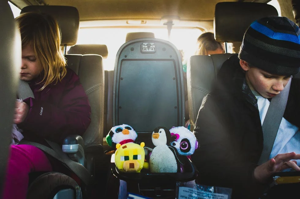 Children and their colorful stuffed animals riding int the backseat of a sunlit car on a road trip.