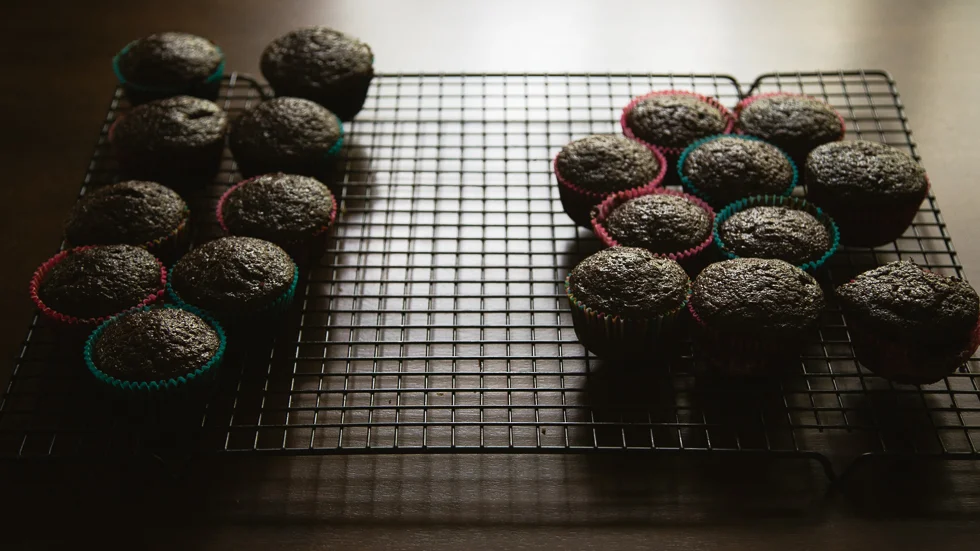 chocolate cupcakes cooling by a window.