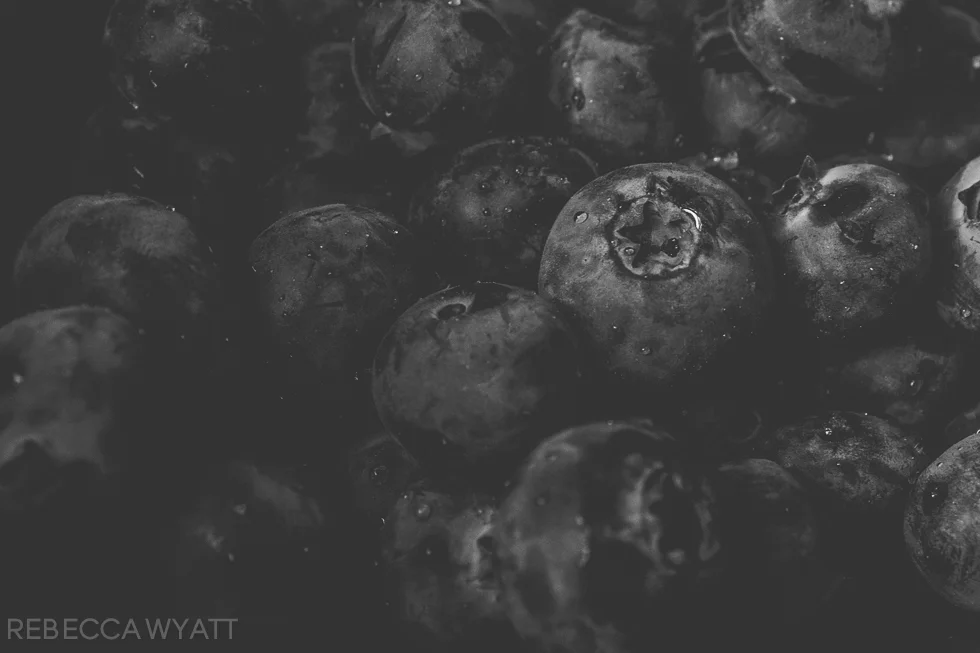 365-2 u[date blueberries-20