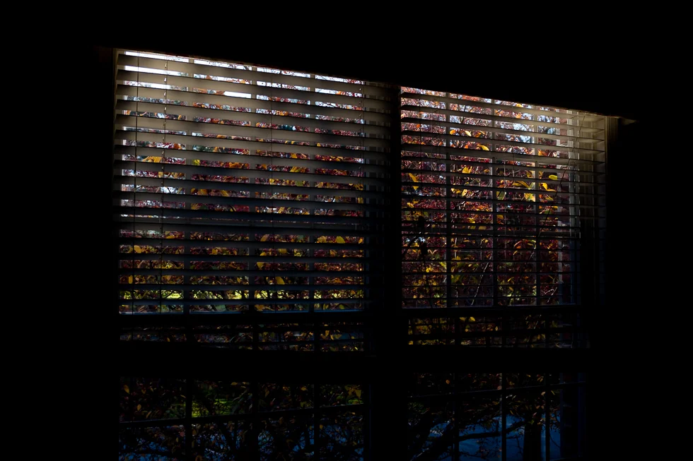 365-2-update-34.jpg
