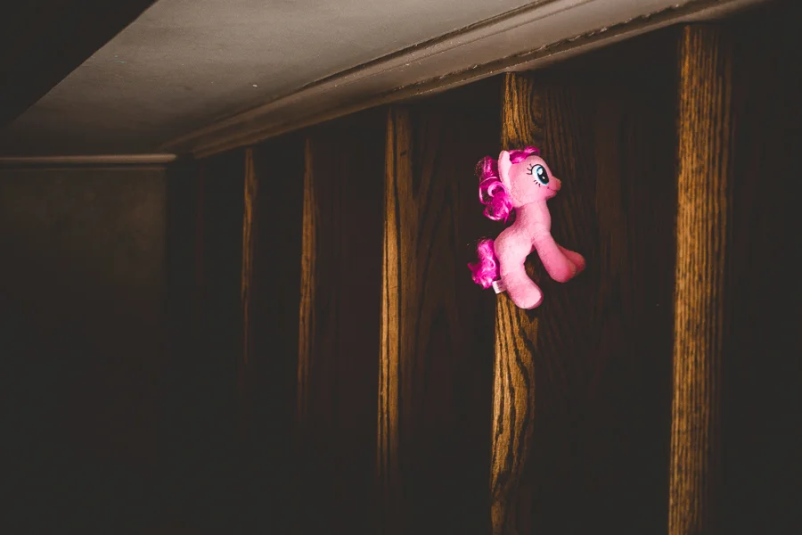 Pony on Stairs by Rebecca Wyatt Photography