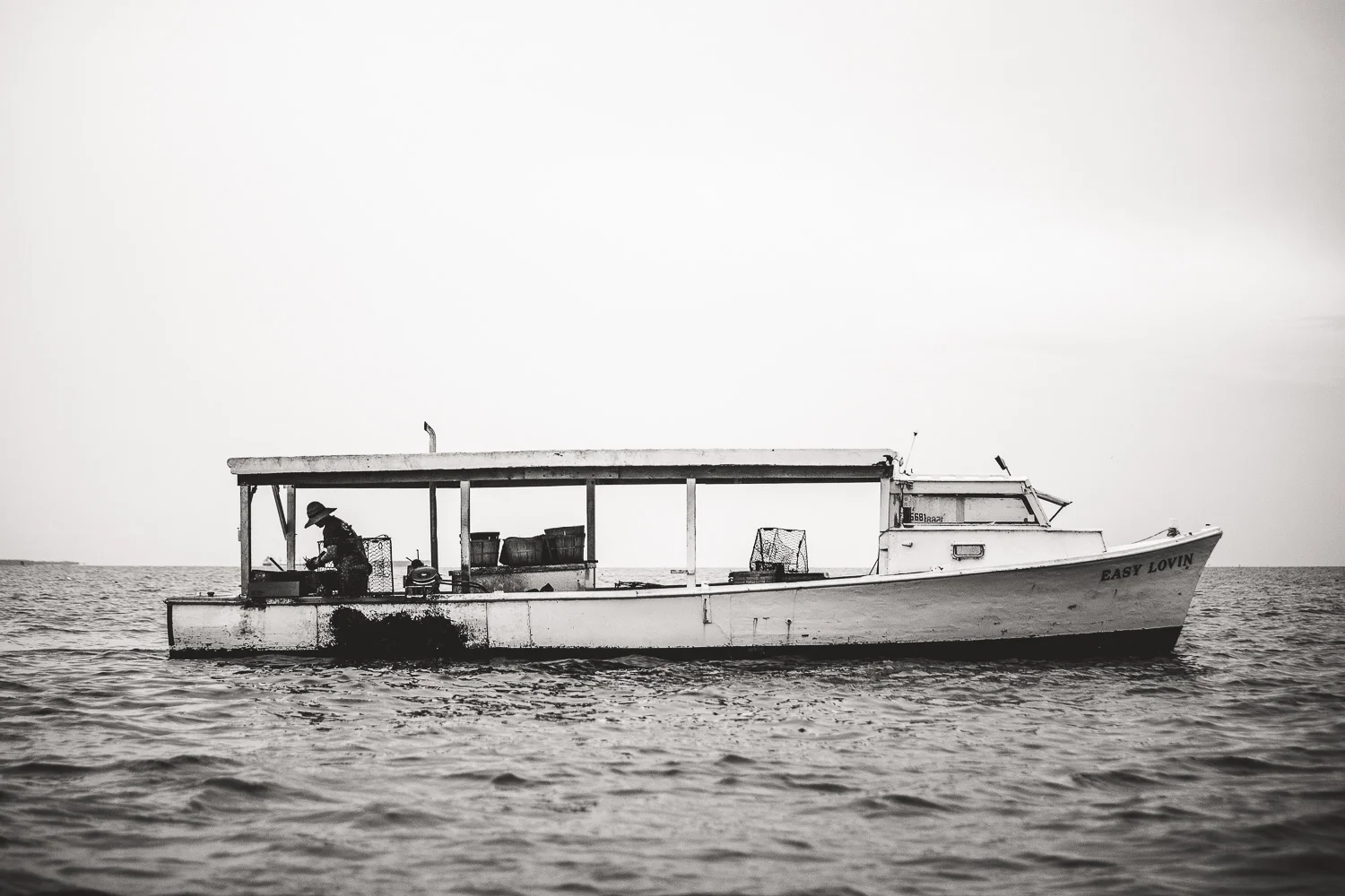 A Morning on the Chesapeake Bay