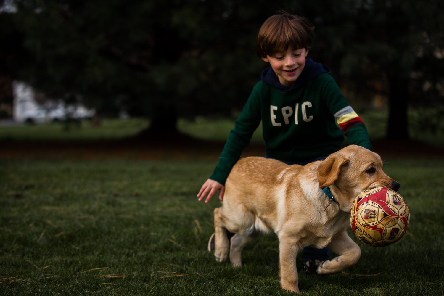 young boy throwing a ball with dog-8.jpg