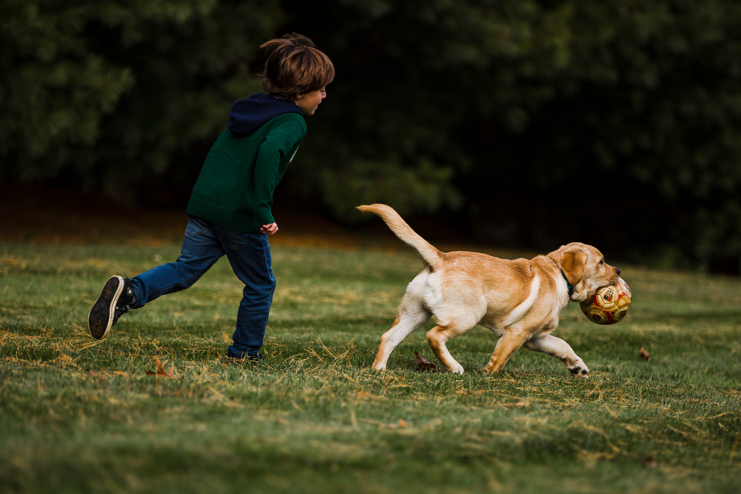 young boy throwing a ball with dog-9.jpg