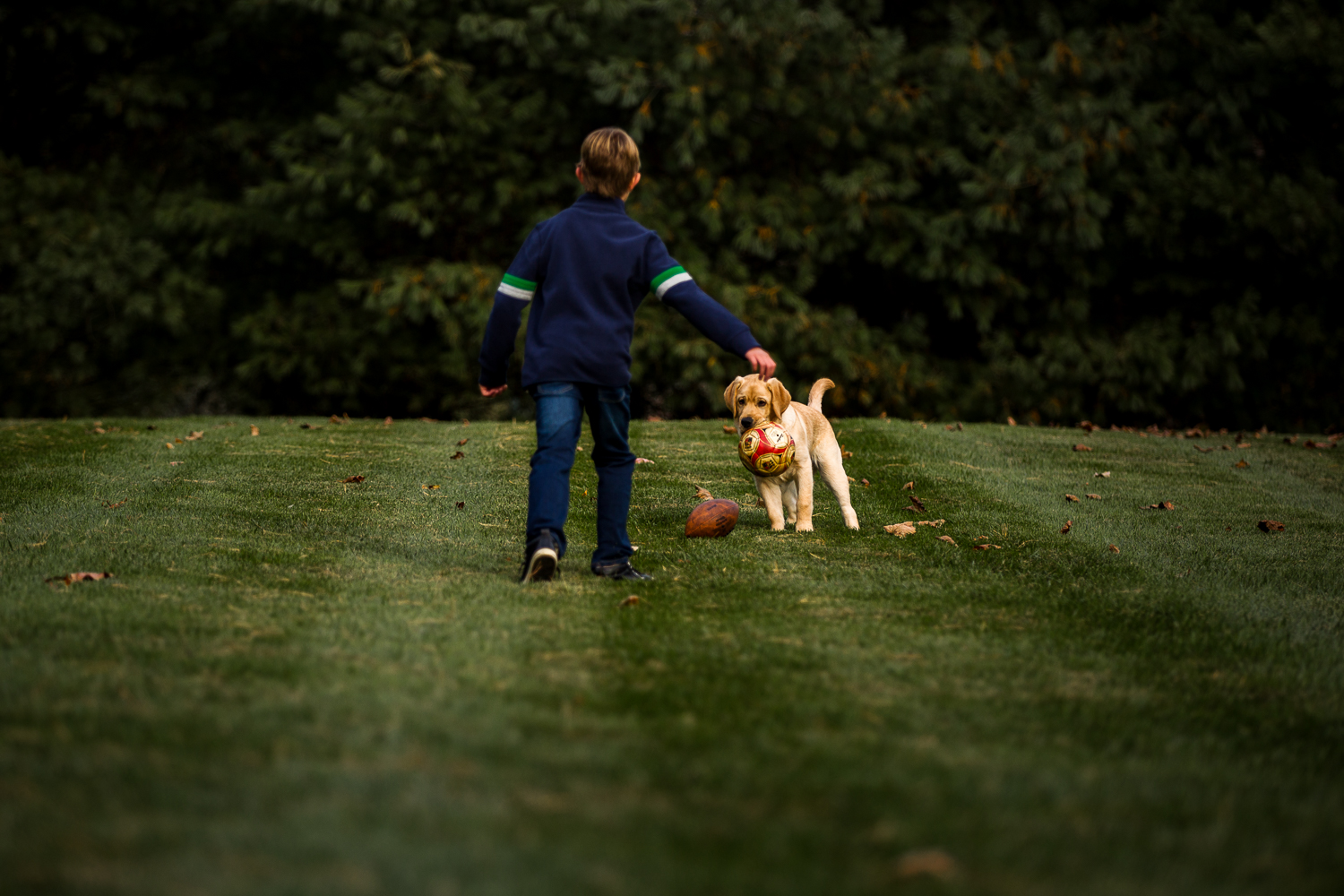 young boy throwing a ball with dog-10.jpg